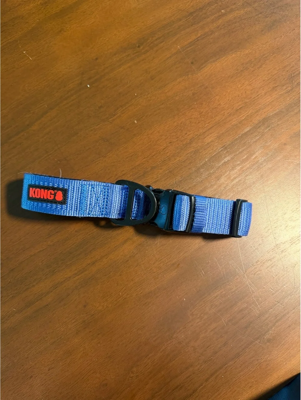 Kong Blue Dog Collar